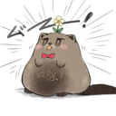 ぽんちゃん （最強）