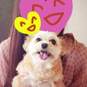 Ozaki Sayako