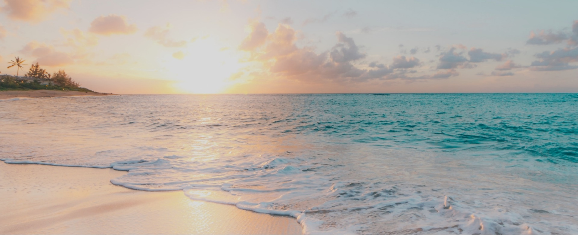 🚀 未来のWSPを創る仲間たちへ！　　　　　　次世代リーダー育成「キックオフ会議」