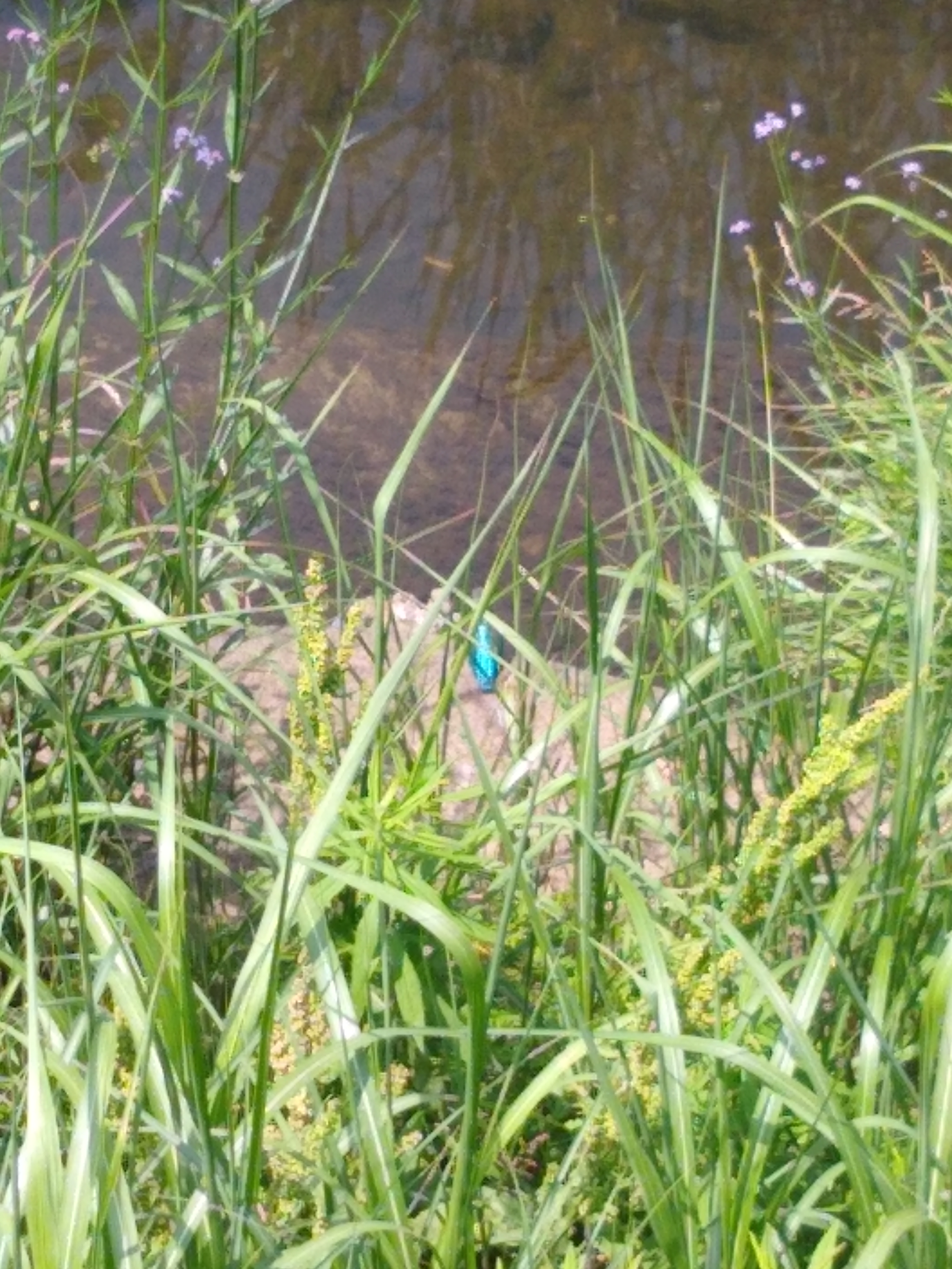 発信し続けることで見えてくるもの