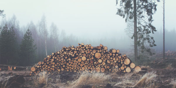 冬休みにオススメの1冊