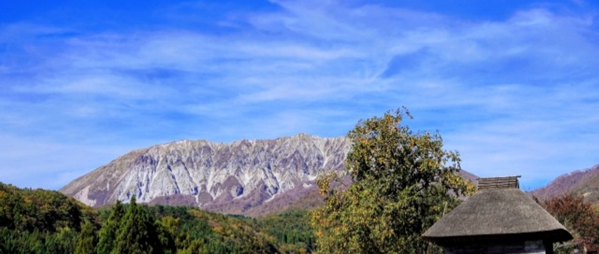 鳥取に根ざす地域の挑戦へ。関係性を紡ぎ直す現場で事業開発の視点が活きる