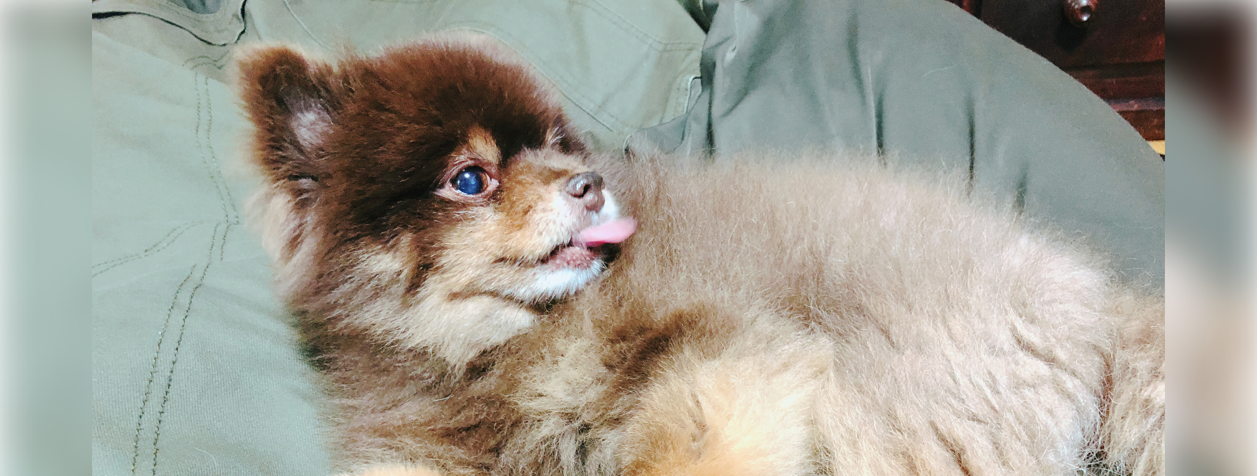 プロダクトとバリューにビビッときました