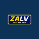 Zalv888 pro