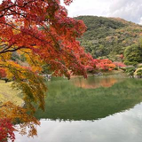 Miwa Nishida