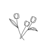 S. N.