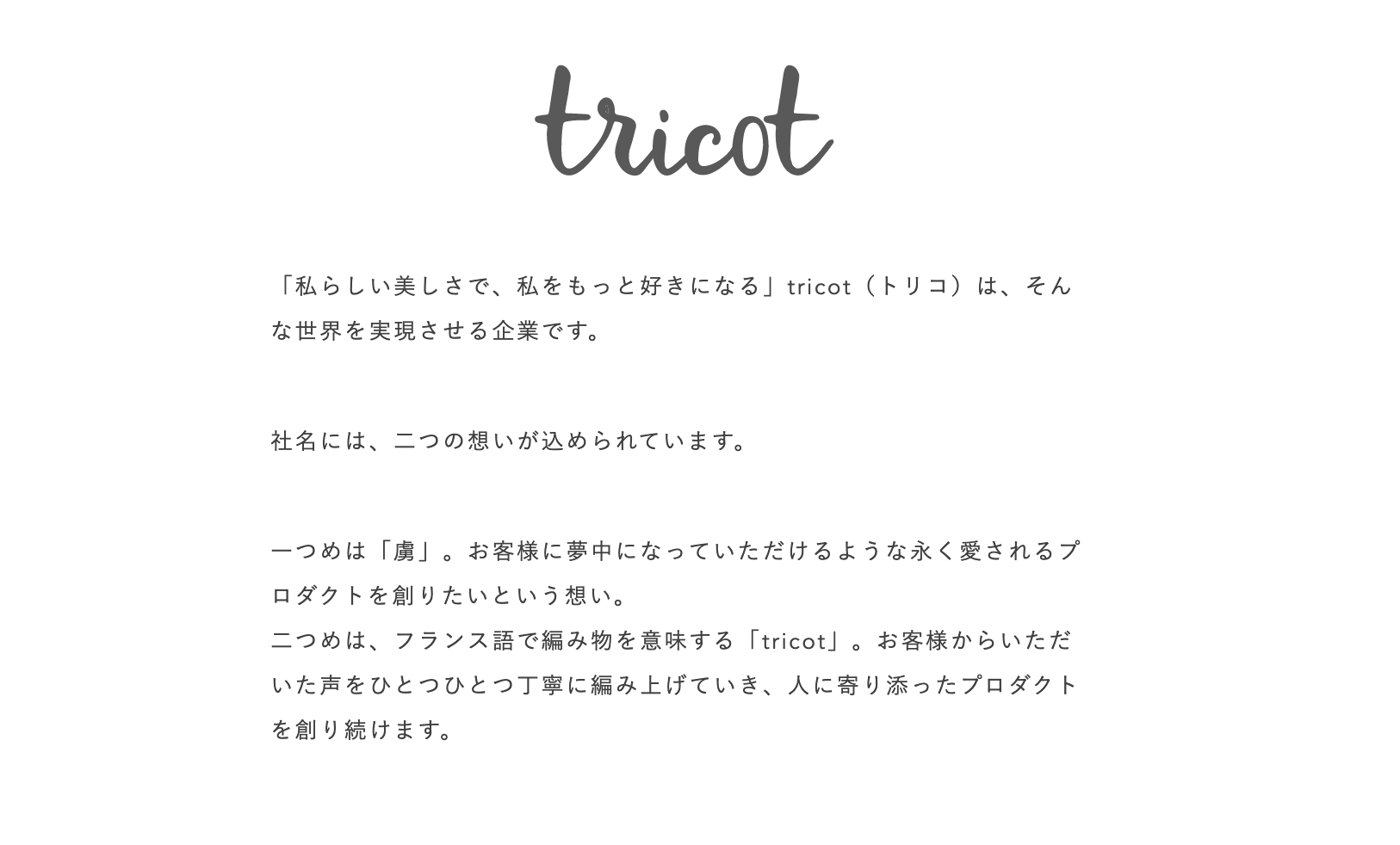 活動歴および当時の関連ビジュアル記録