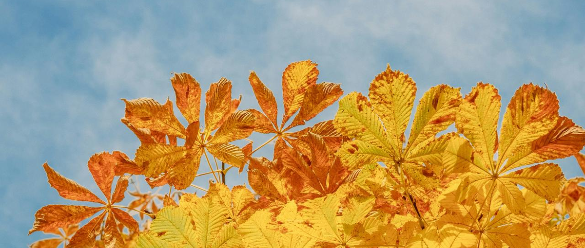 生成AI開発会社のAWS クラウドセキュリティエンジニア募集！