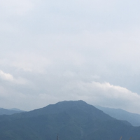 misu