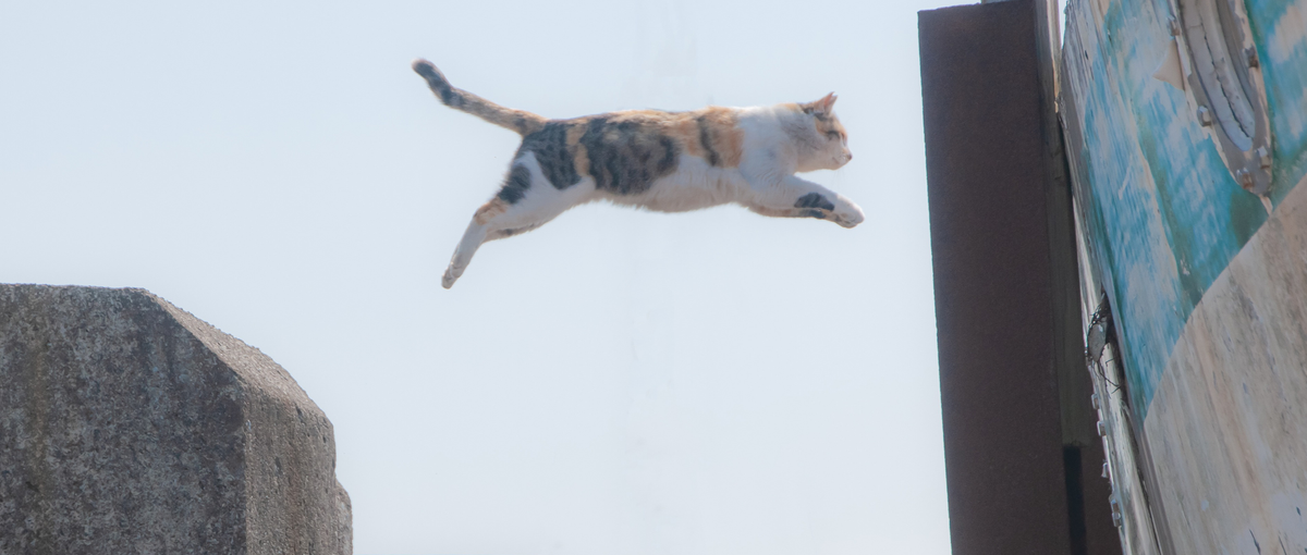 市場を見つけてユーザーに届けるまで！全部やりたい広範囲型マーケ募集中！