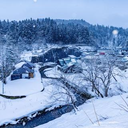 近野 貴行