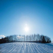 北海道大空町の雪景色