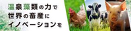 これからの飼料に求められるのは、「免疫力」という新たな価値軸。 世界が注目するプレバイオティクス機能飼料「RG92」は、計り知れない市場ポテンシャルを秘めています。