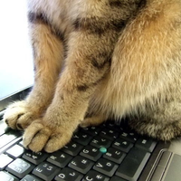 ISHII KATSURAさんのプロフィール