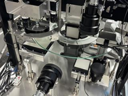 ガラミちゃんの中身