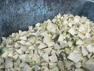 食品工場で廃棄されたキャベツの芯