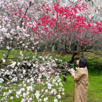 Yumiko Kotani