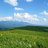 田中 慎一