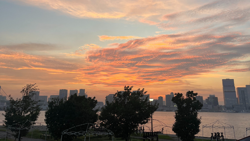 豊洲でオフサイトMTGをしてきました！— Sales & Marketing × E&H編