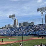 齊田 智理