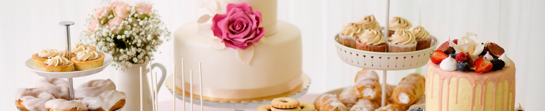 フードディスペンサーが設置されました！