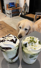 大阪市東成区】看板犬アストくんと一緒にカフェで働こう | 株式会社