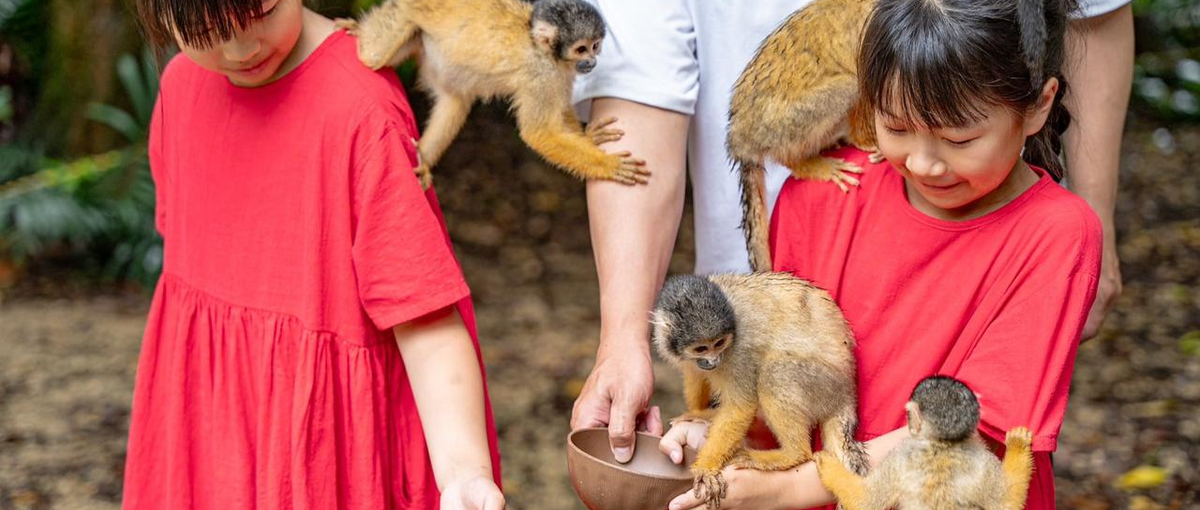 IPO準備中！ミッションドリブンな成長企業を支える、財務経理マネジャー