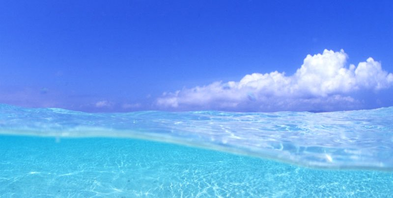 スカウトメッセージは届いてませんか？