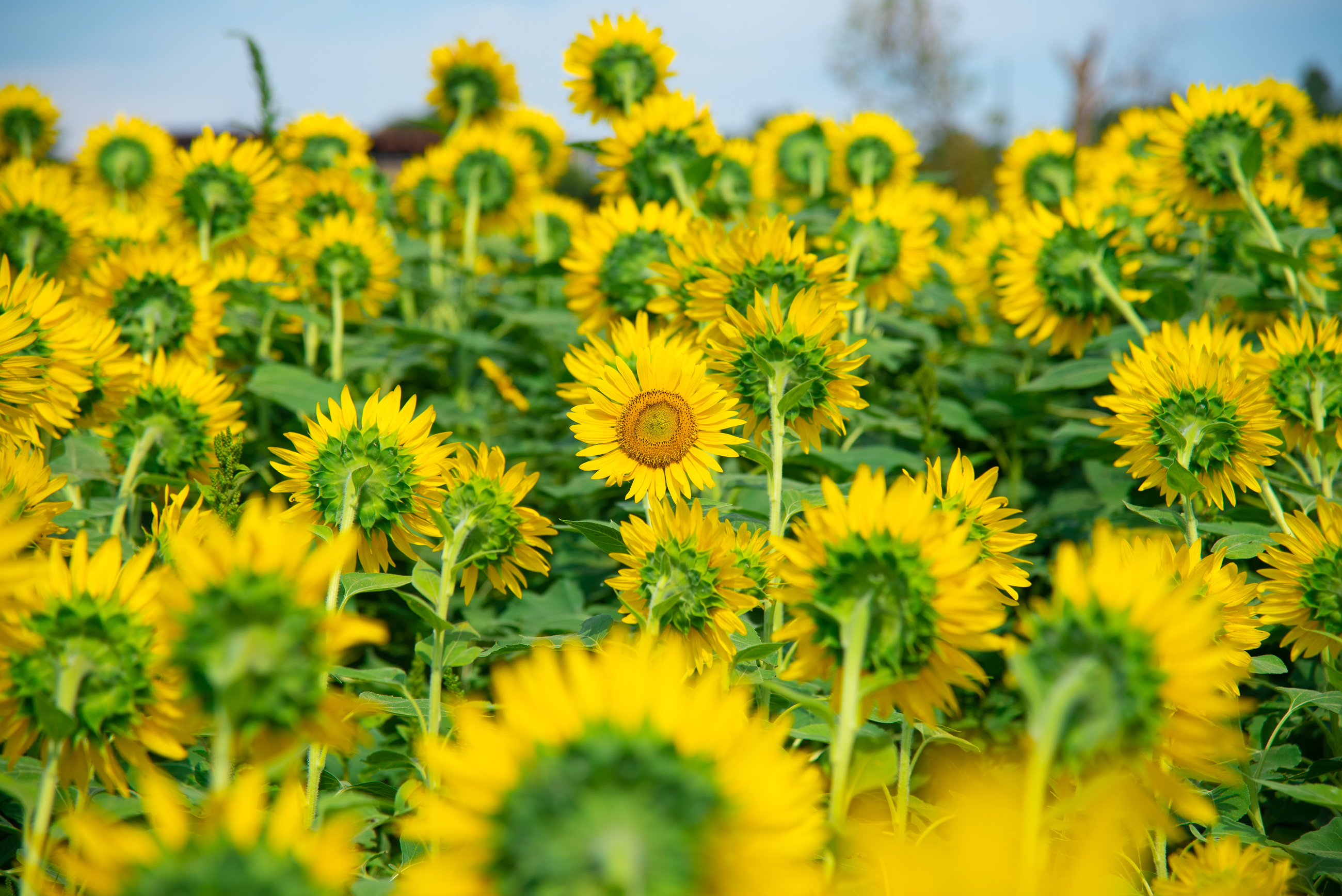 人生をおしゃれに、人生は繋がる