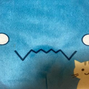 Y S