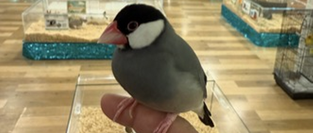 エンジニア育成を最重視！OJTでITキャリアをスタートしましょう！