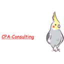 About 合同会社CPA-Consulting 