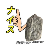 渡邉さんのプロフィール