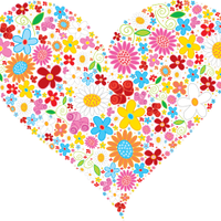 柴田 千尋さんのプロフィール