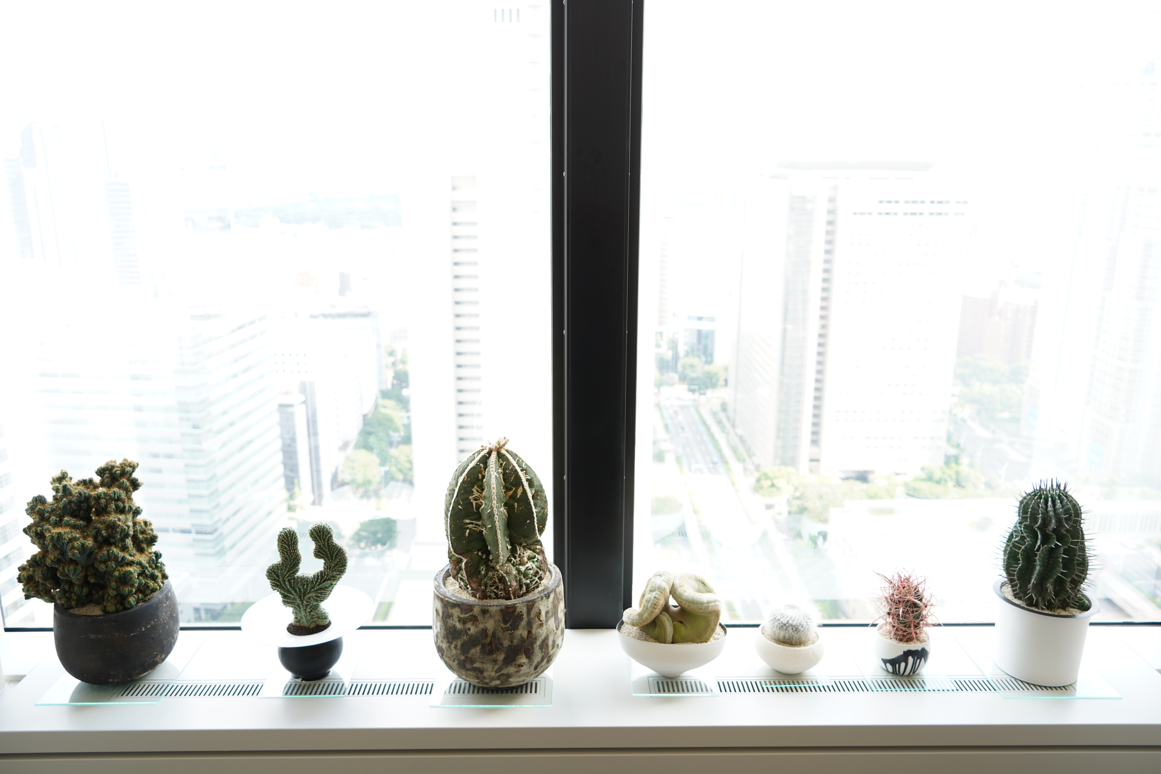 交流会ってどんな感じ？