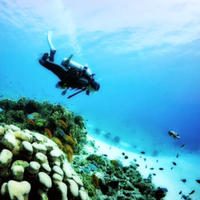 佐藤 あゆさんのプロフィール