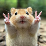 KevinGilbert Photography