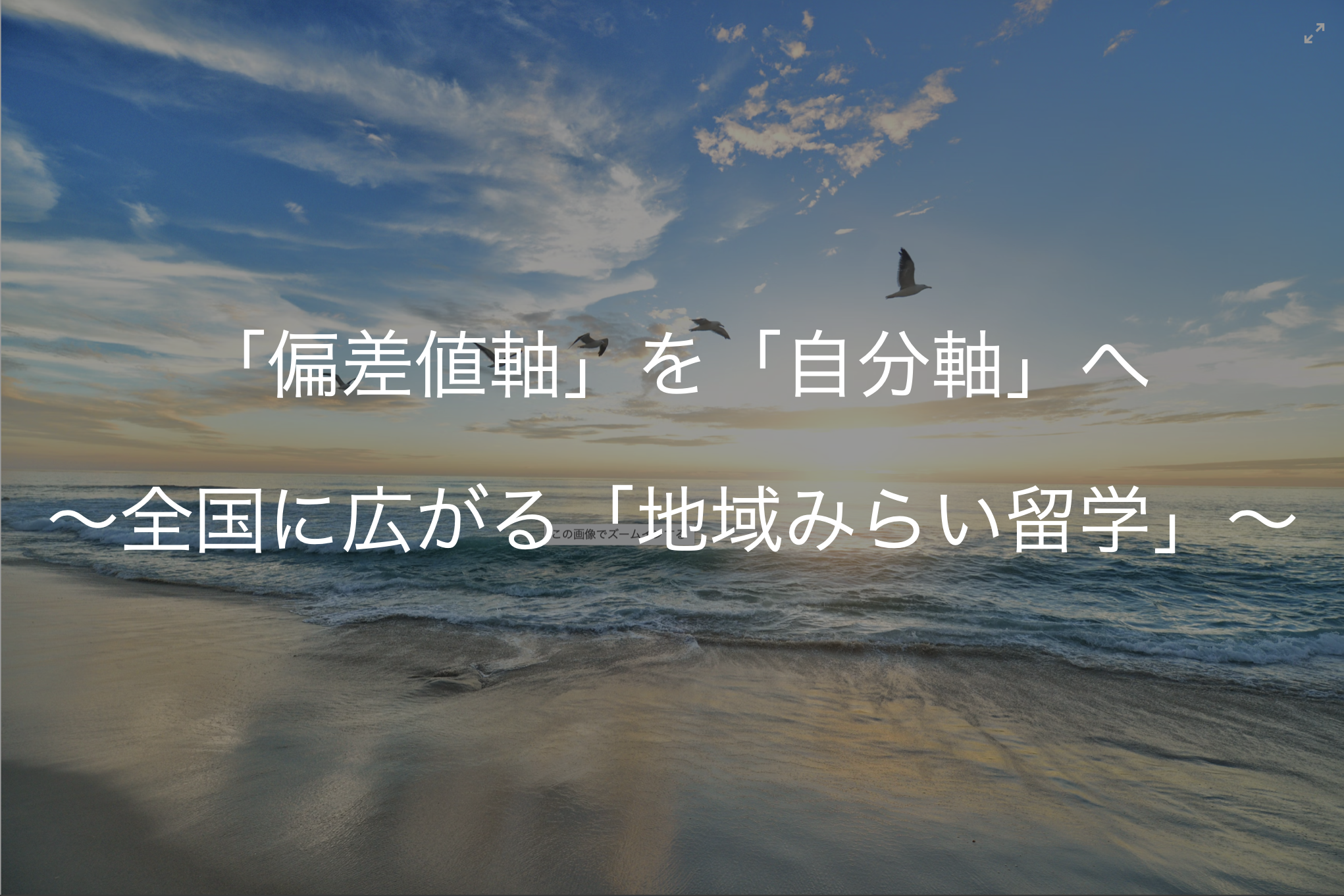 「偏差値軸」を「自分軸」へ～全国に広がる「地域みらい留学」～