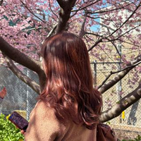 ISOBEさんのプロフィール