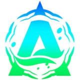 採用 チーム