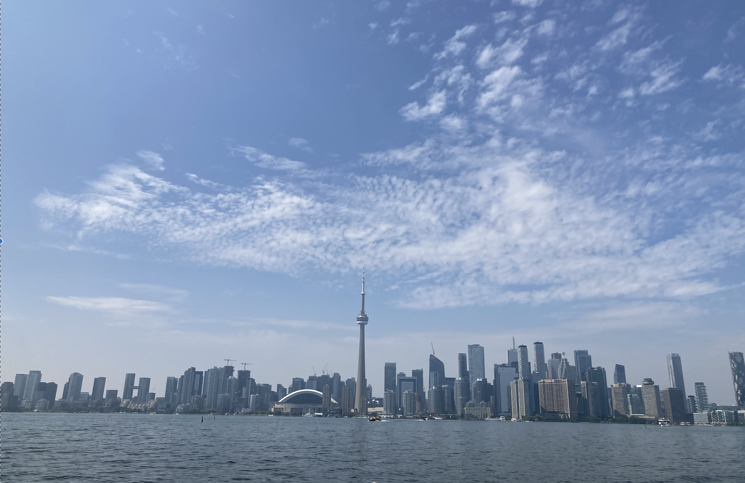 ＜インターン日記＞〜海外マーケに奮闘した2024年上半期を振り返って〜