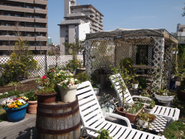 屋上庭園　ここでBBQをしたりランチをしたり、都心のオアシスです。斬新なideaやスキームはPCの前にいるだけでなく開放的な空間を使って。