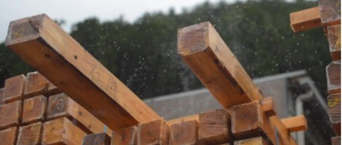 ：地方創生：森林資源を活用し、森林の保全に貢献｜製材工場の生産管理責任者