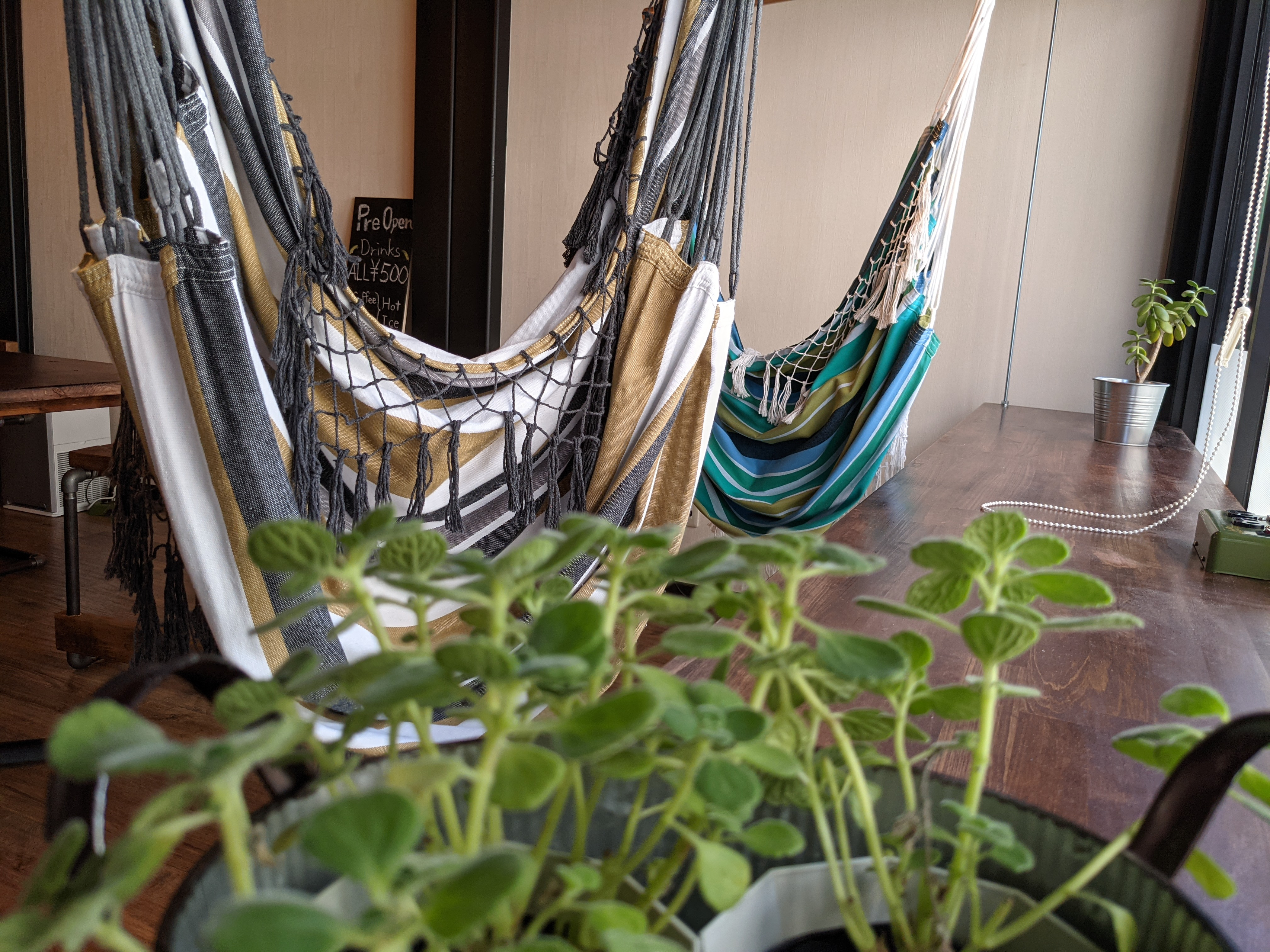 ネコビル1Fにカフェがオープン！