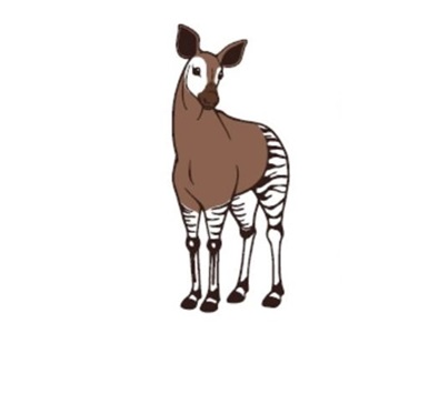 おかぴファーマシーシステム株式会社