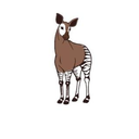 About おかぴファーマシーシステム株式会社