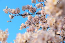  エンジニアになりたい方！ENGEIで一から目指そう！