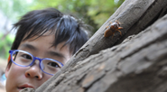 虫博士たちは、虫の生息地を知っています。人気は、カマキリ、トカゲ、カブトムシ。