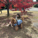 佐野 なつき
