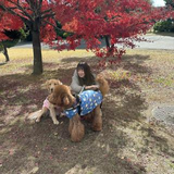 佐野 なつき